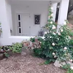 Ana Villa *
