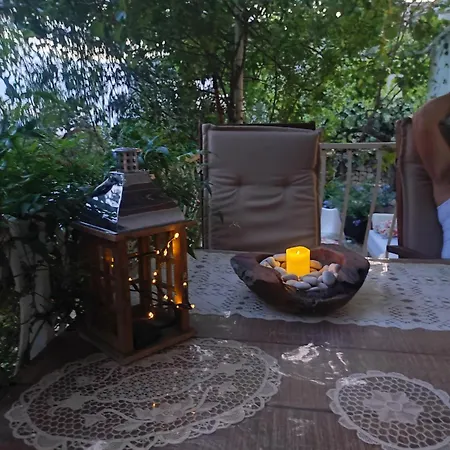 Ana Villa