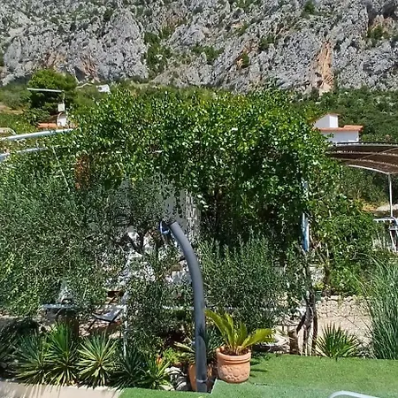 Ana Villa *