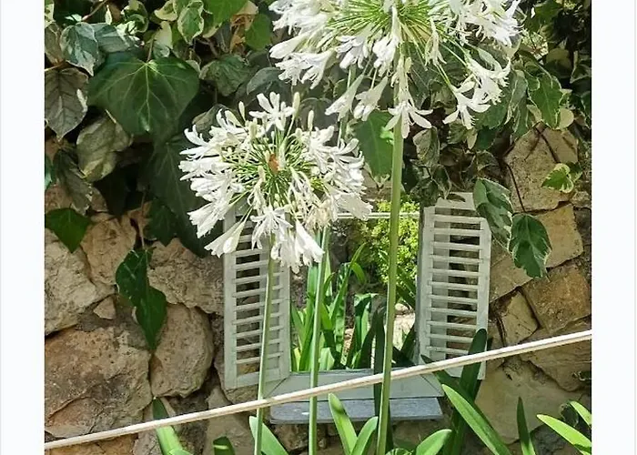 Ana Βίλα Μακάρσκα