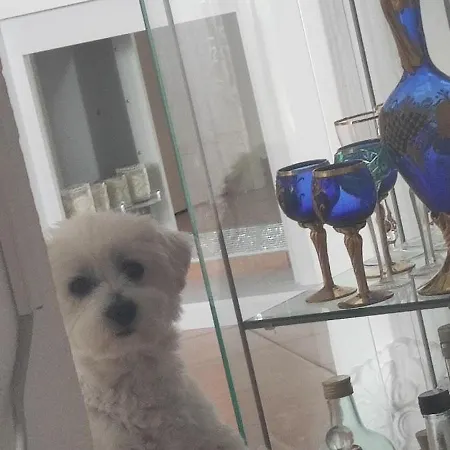 Ana Вілла Макарська