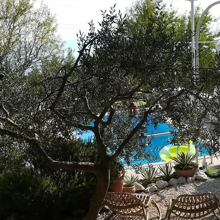 Ana Макарська