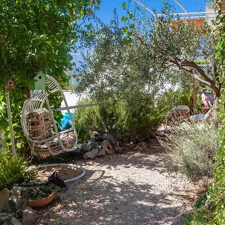 Ana * Макарська